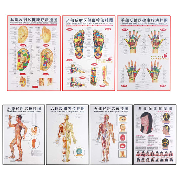 7 Pcs Chinese and English posters of moxibustion and moxibustion on acupoints and meridians of traditional Chinese medicine